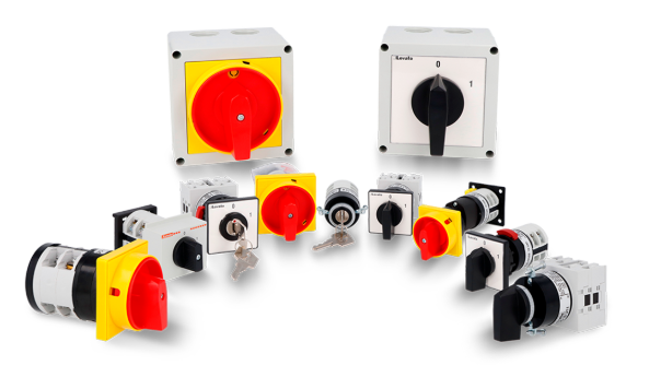 Rotary cam switches